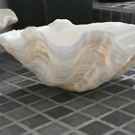 White Cave Private *